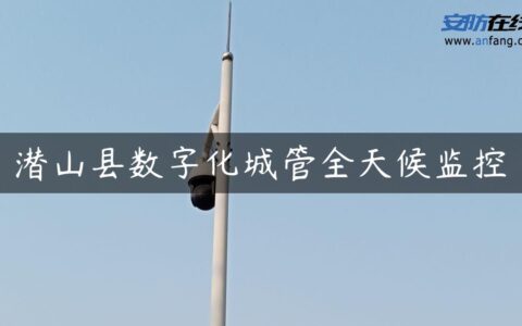 潜山县数字化城管全天候监控