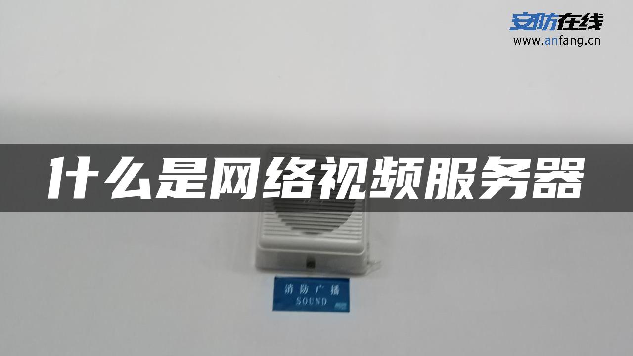 什么是网络视频服务器