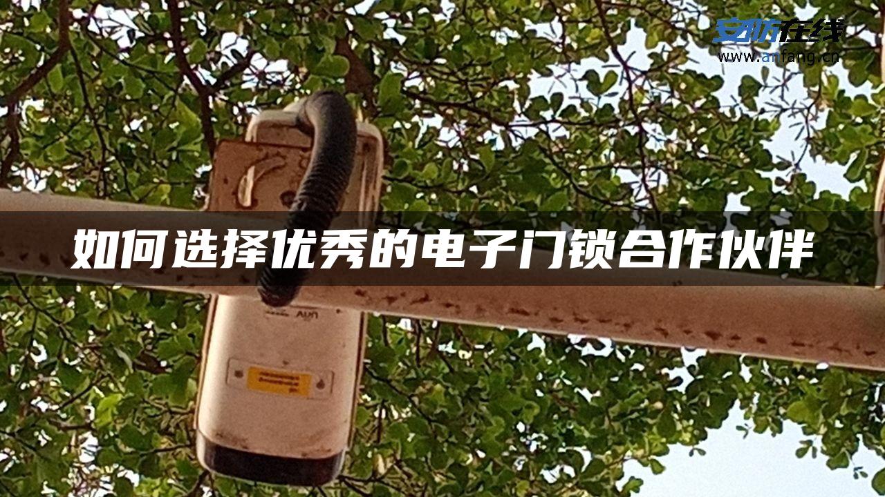 如何选择优秀的电子门锁合作伙伴