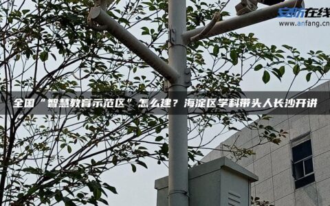 全国“智慧教育示范区”怎么建？海淀区学科带头人长沙开讲