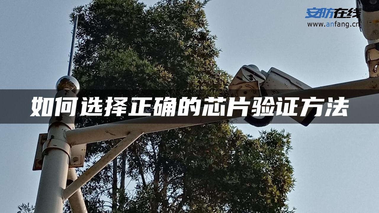 如何选择正确的芯片验证方法