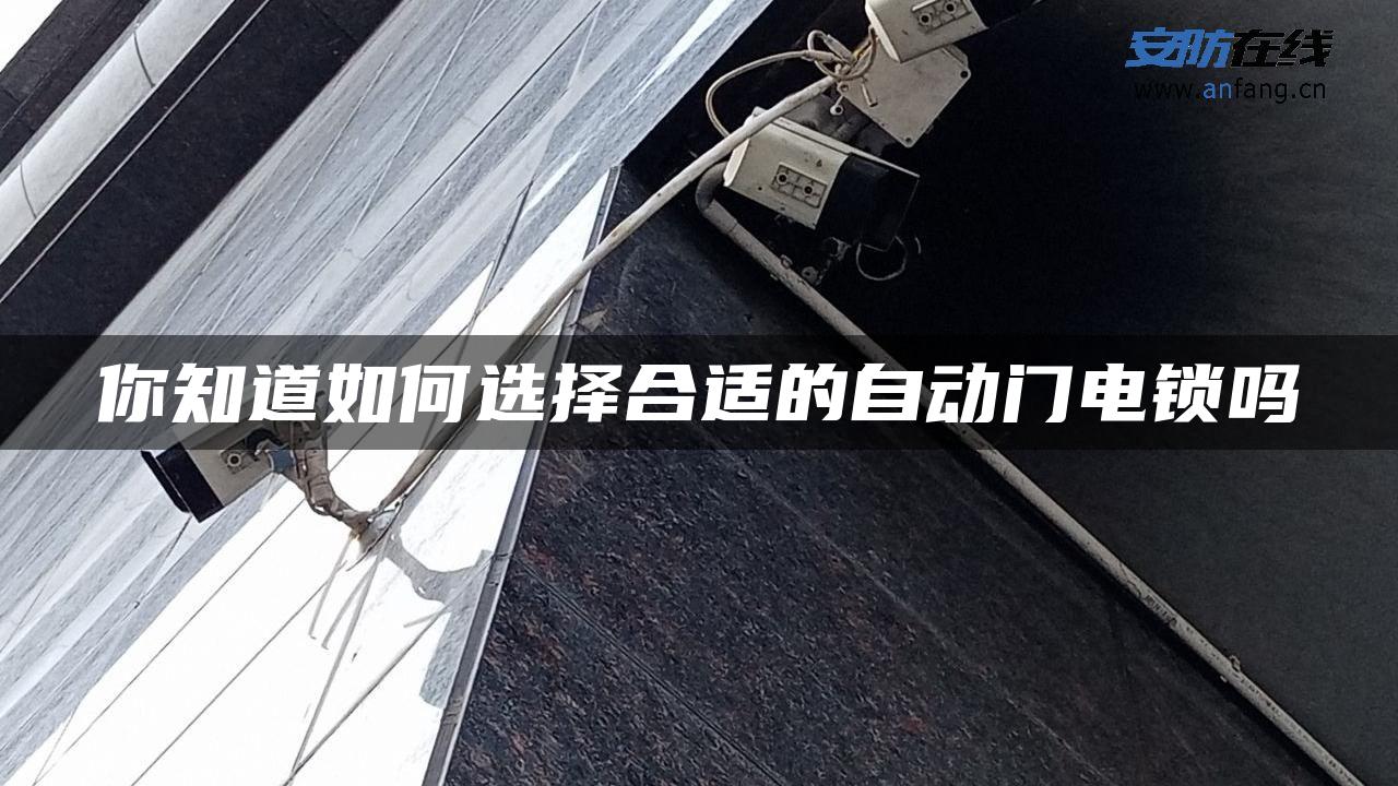 你知道如何选择合适的自动门电锁吗