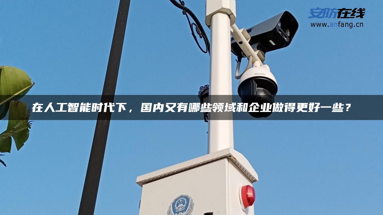 在人工智能时代下，国内又有哪些领域和企业做得更好一些？