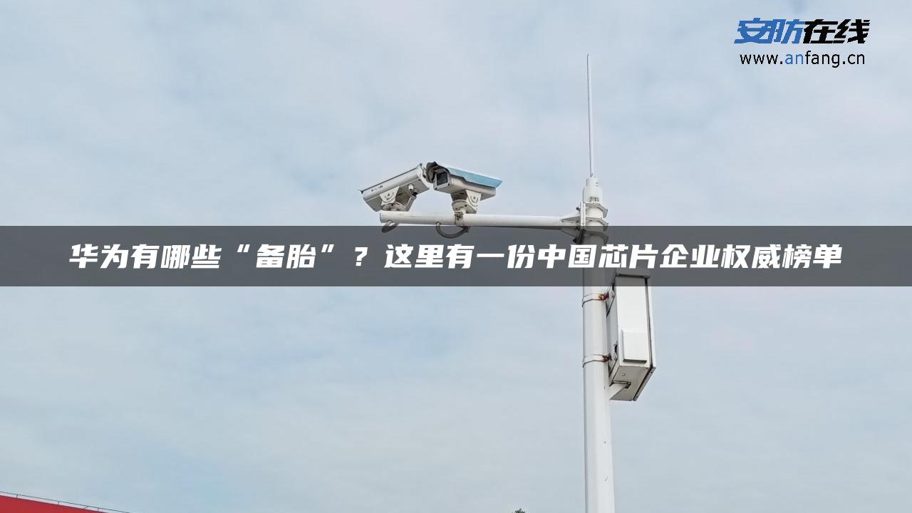 华为有哪些“备胎”？这里有一份中国芯片企业权威榜单