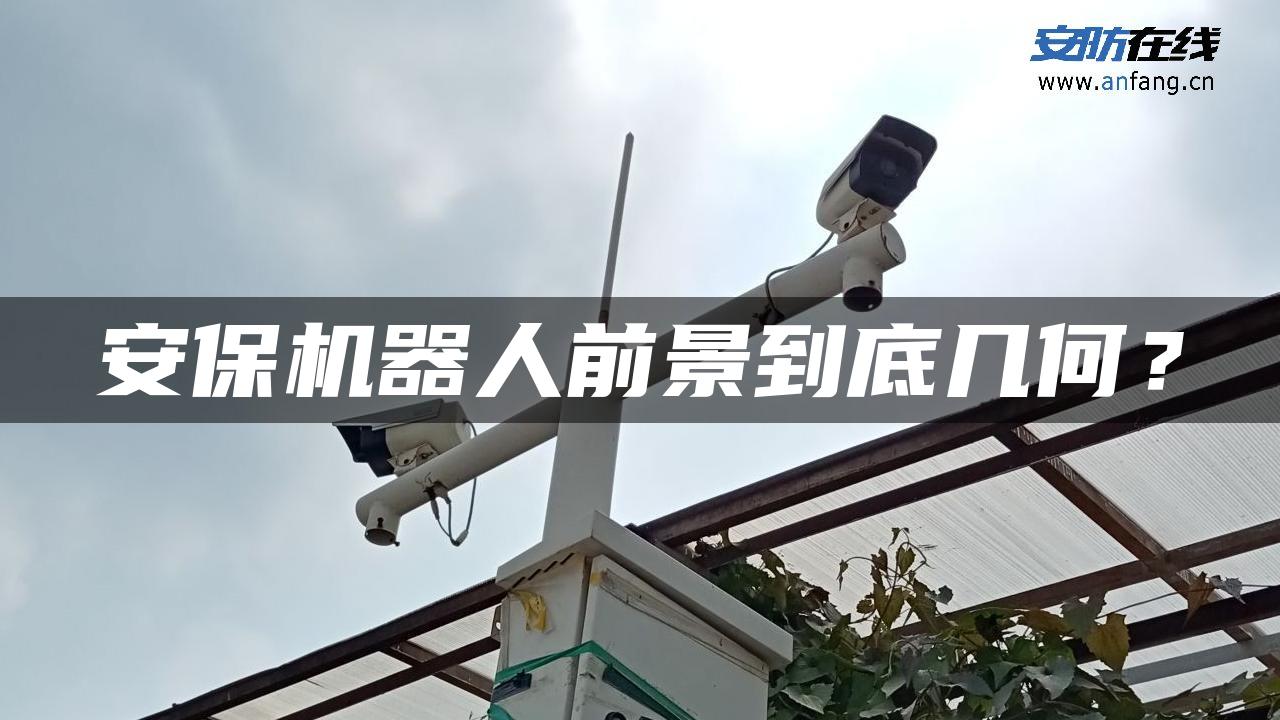 安保机器人前景到底几何？
