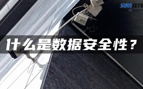 什么是数据安全性？