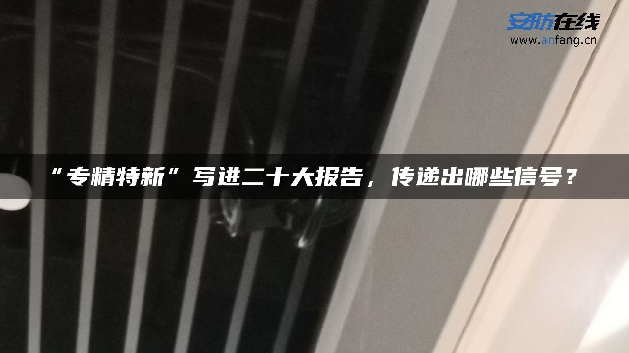 “专精特新”写进二十大报告，传递出哪些信号？