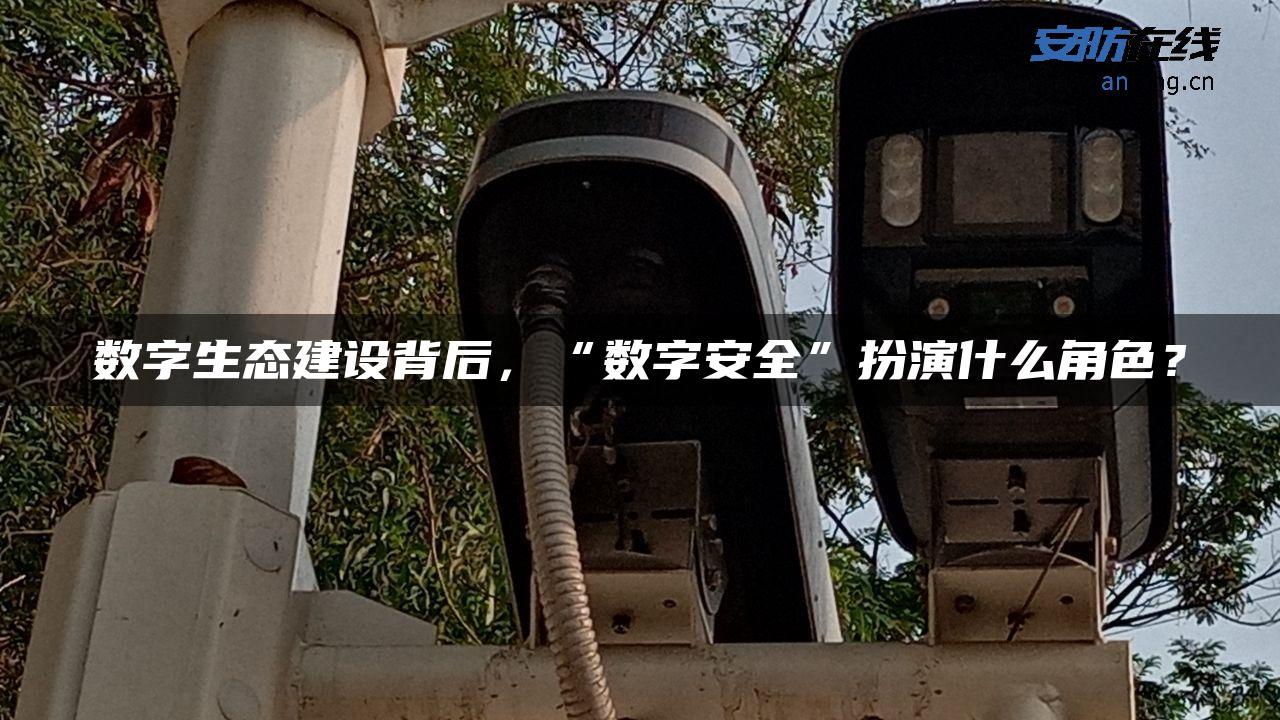 数字生态建设背后，“数字安全”扮演什么角色？