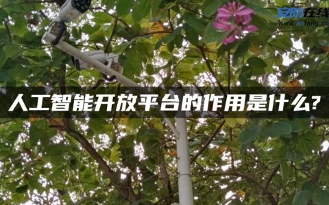 人工智能开放平台的作用是什么?