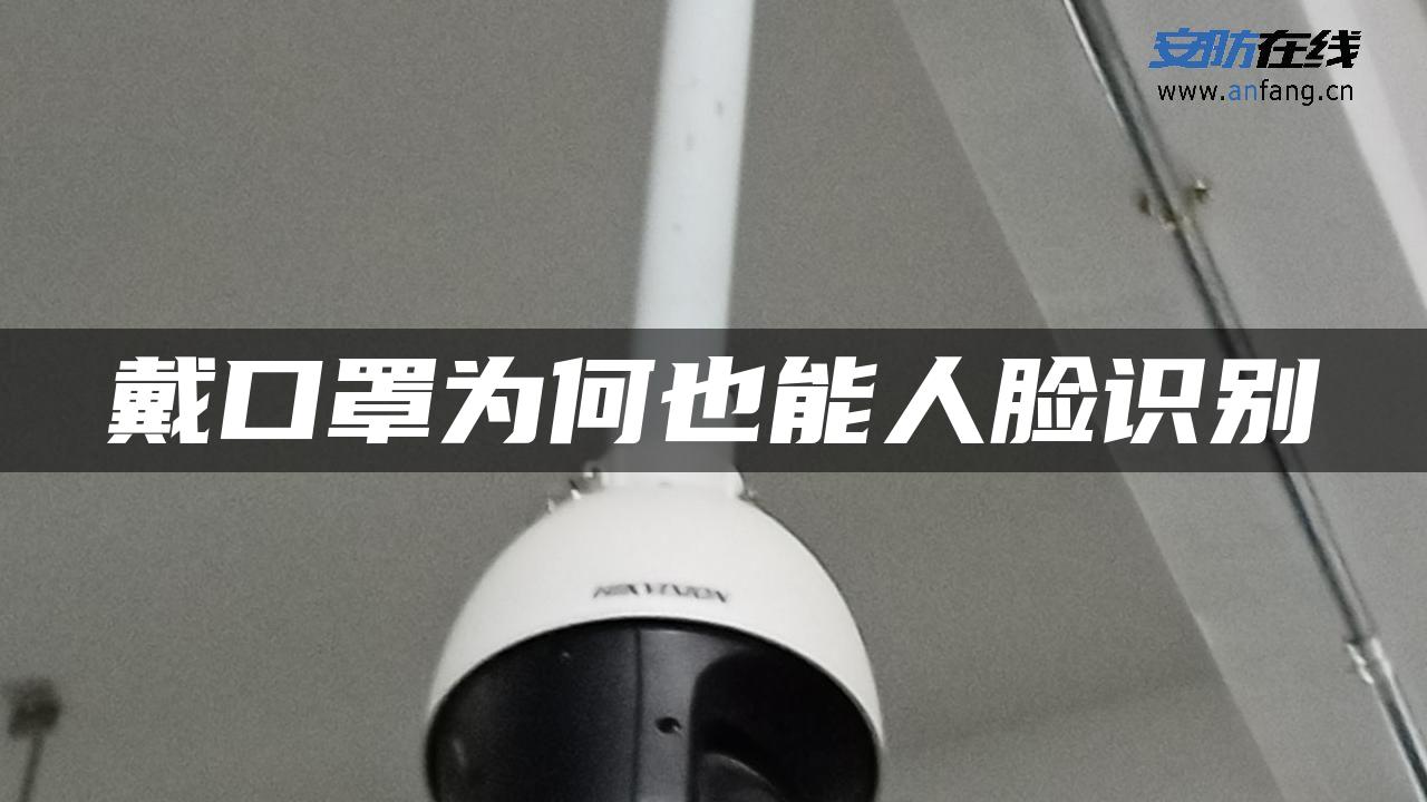 戴口罩为何也能人脸识别