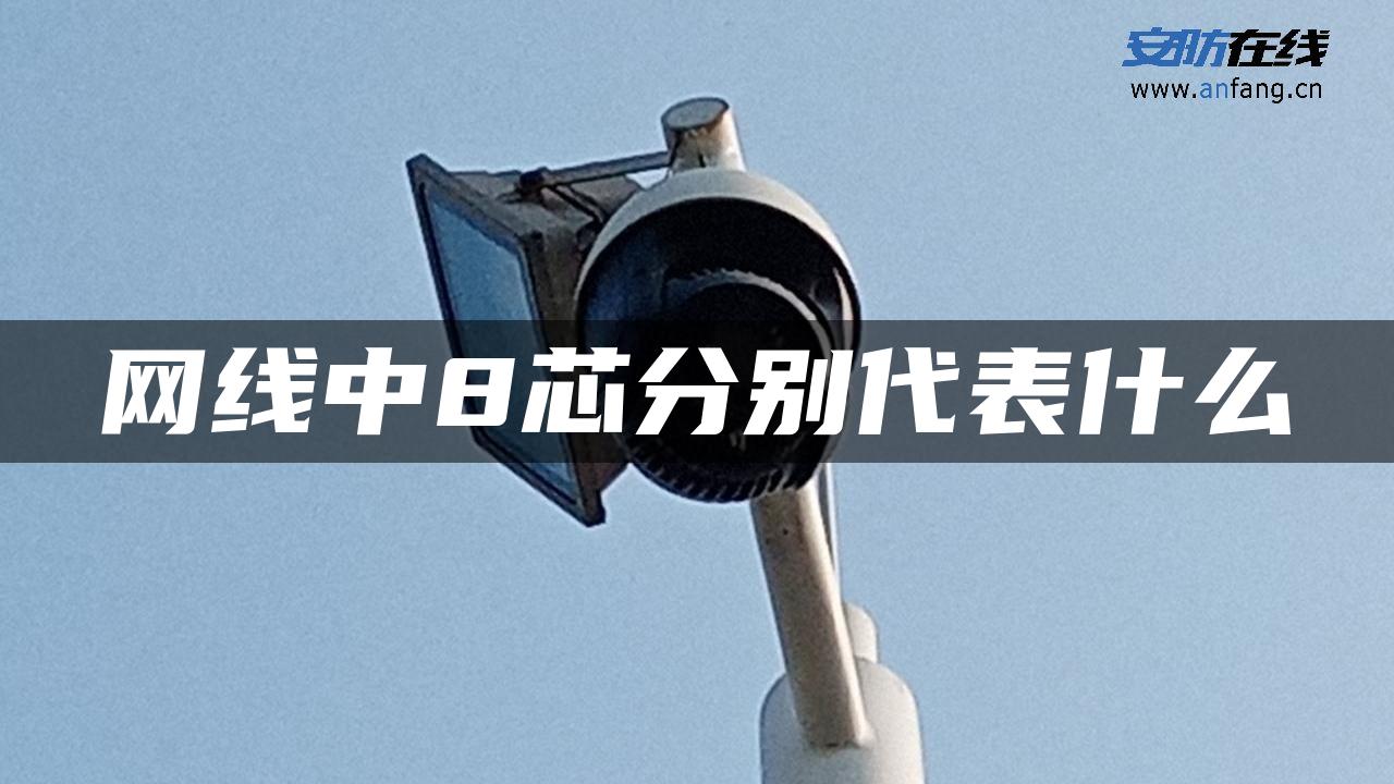 网线中8芯分别代表什么
