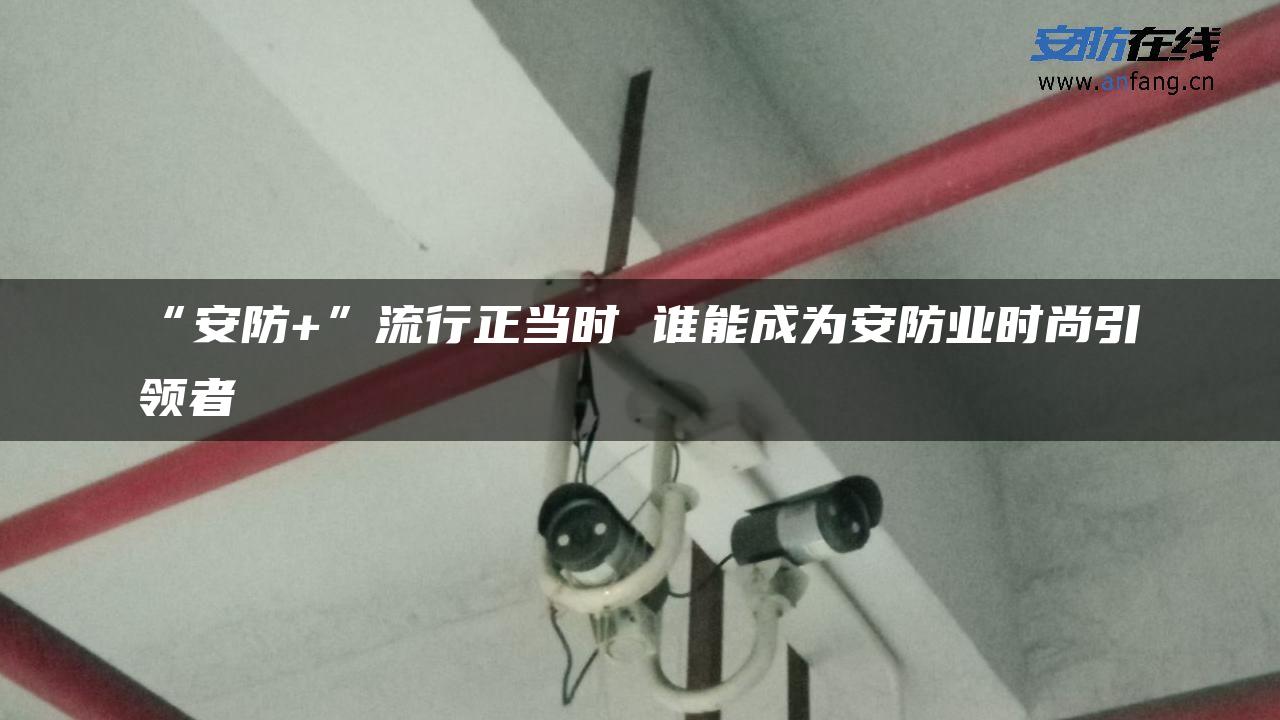 “安防+”流行正当时 谁能成为安防业时尚引领者
