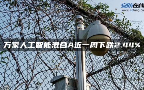 万家人工智能混合A近一周下跌2.44%