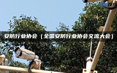 安防行业协会（全国安防行业协会交流大会）