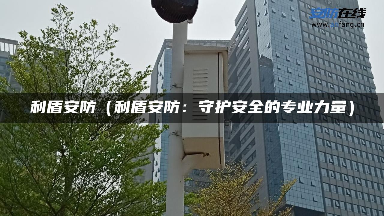 利盾安防（利盾安防：守护安全的专业力量）
