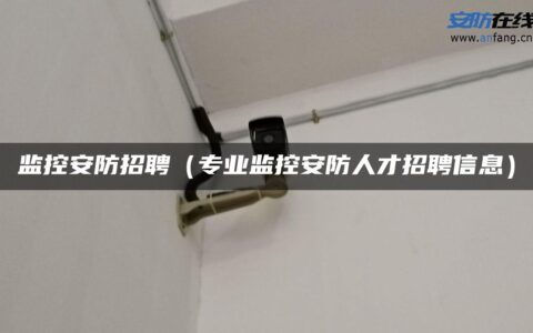 监控安防招聘（专业监控安防人才招聘信息）