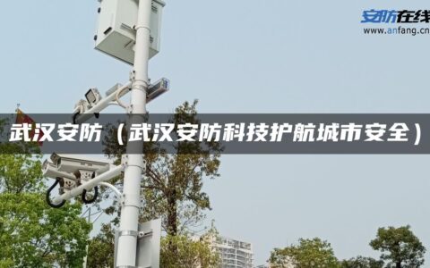 武汉安防（武汉安防科技护航城市安全）