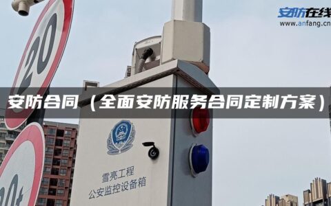 安防合同（全面安防服务合同定制方案）