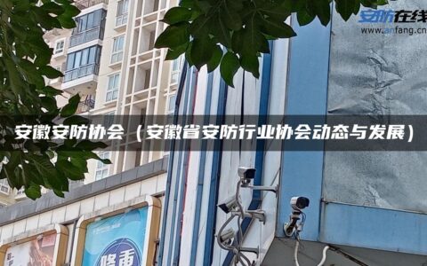 安徽安防协会（安徽省安防行业协会动态与发展）
