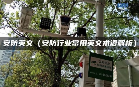安防英文（安防行业常用英文术语解析）
