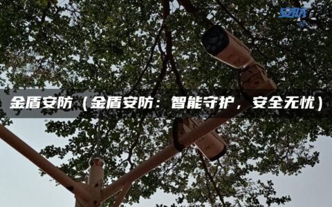 金盾安防（金盾安防：智能守护，安全无忧）