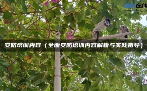 安防培训内容（全面安防培训内容解析与实践指导）