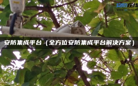 安防集成平台（全方位安防集成平台解决方案）