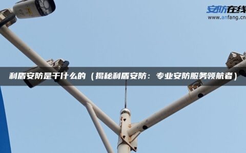 利盾安防是干什么的（揭秘利盾安防：专业安防服务领航者）