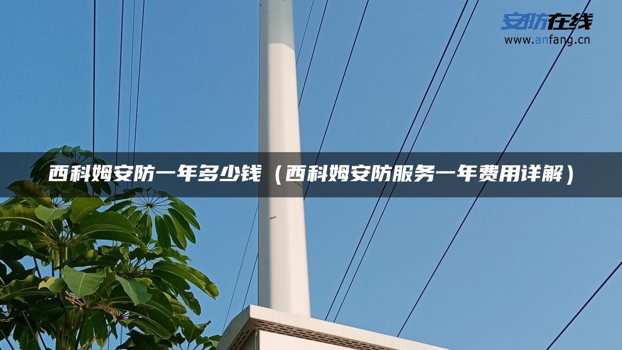 西科姆安防一年多少钱(西科姆安防服务一年费用详解) 西科姆安防一年多少钱(西科姆安防服务一年费用详解)