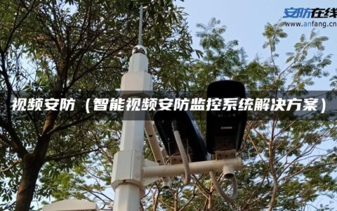 视频安防（智能视频安防监控系统解决方案）
