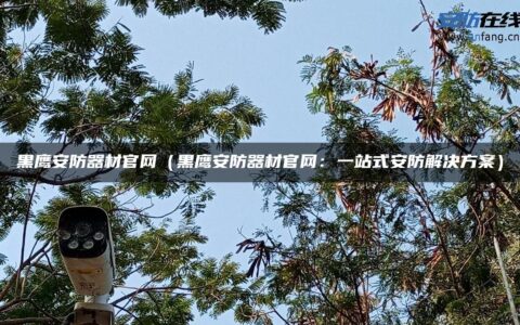 黑鹰安防器材官网（黑鹰安防器材官网：一站式安防解决方案）