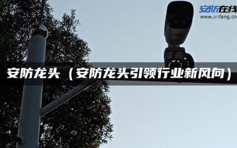 安防龙头（安防龙头引领行业新风向）