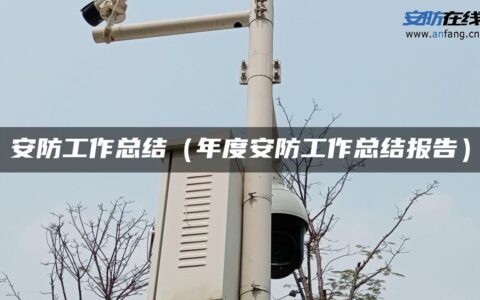 安防工作总结（年度安防工作总结报告）