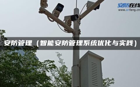 安防管理（智能安防管理系统优化与实践）