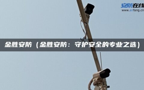 金胜安防（金胜安防：守护安全的专业之选）