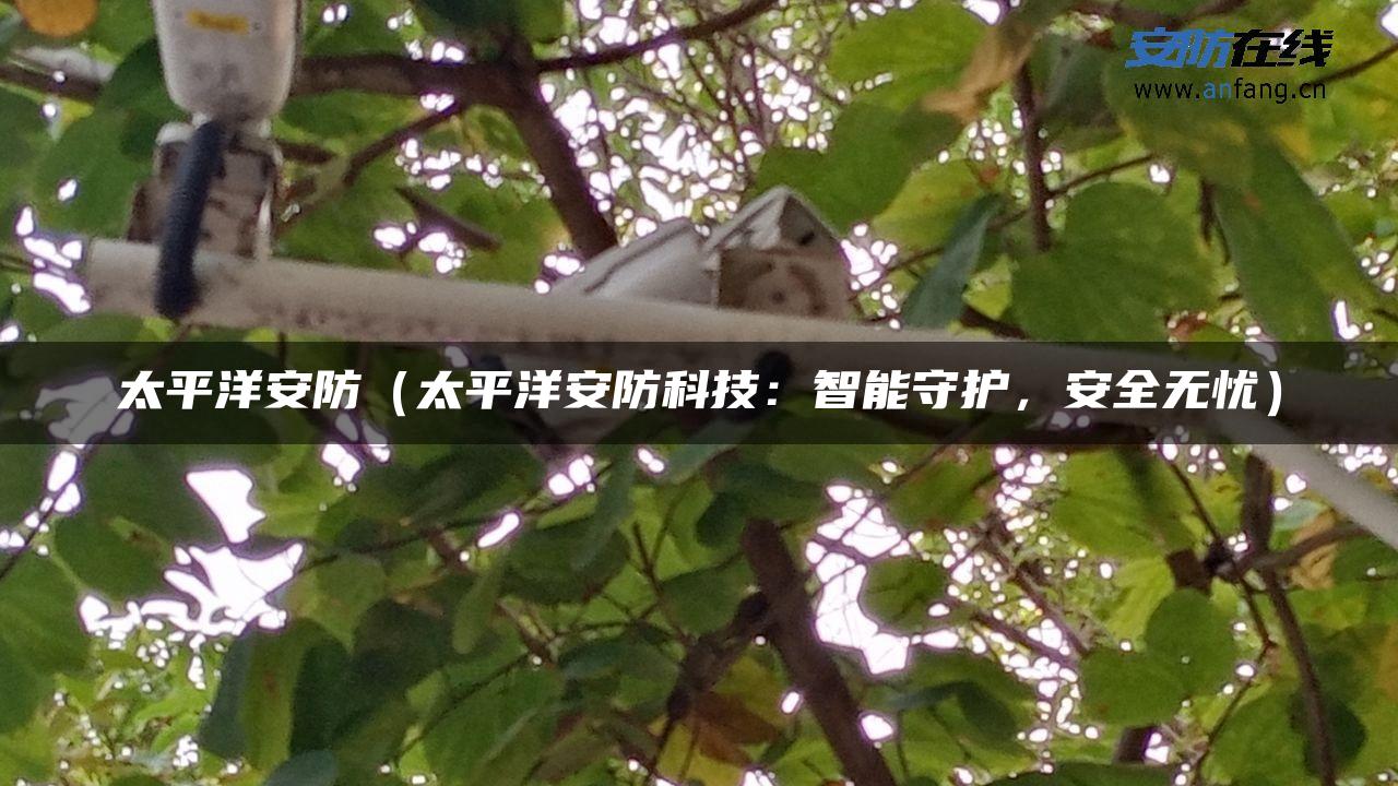 太平洋安防(太平洋安防科技:智能守护,安全无忧) 太平洋安防(太平洋安防科技:智能守护,安全无忧)