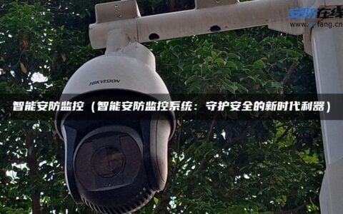 智能安防监控（智能安防监控系统：守护安全的新时代利器）
