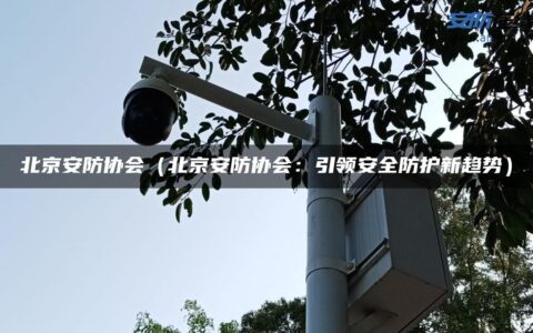 北京安防协会（北京安防协会：引领安全防护新趋势）