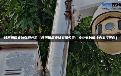 陕西银盾安防有限公司（陕西银盾安防有限公司：专业安防解决方案提供商）