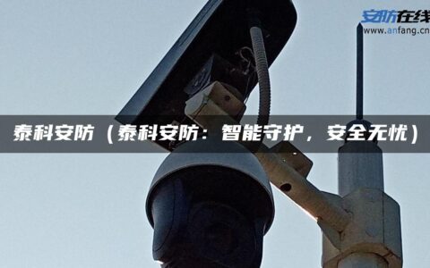 泰科安防（泰科安防：智能守护，安全无忧）