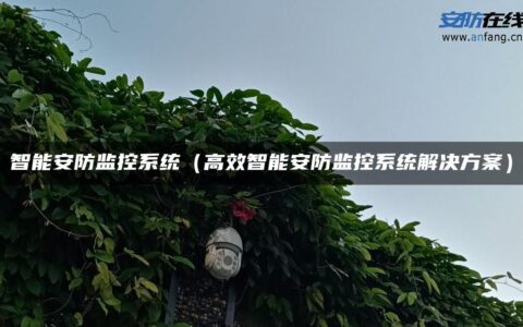 智能安防监控系统（高效智能安防监控系统解决方案）