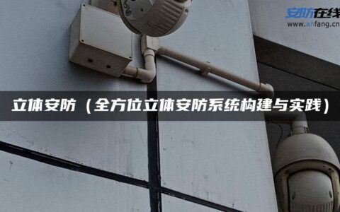 立体安防（全方位立体安防系统构建与实践）