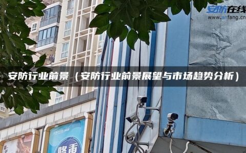 安防行业前景（安防行业前景展望与市场趋势分析）