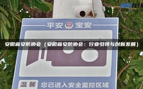 安徽省安防协会（安徽省安防协会：行业引领与创新发展）