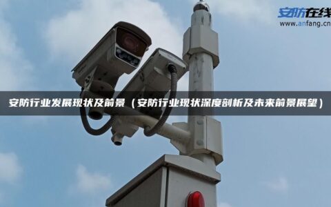 安防行业发展现状及前景（安防行业现状深度剖析及未来前景展望）