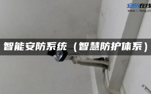 智能安防系统（智慧防护体系）