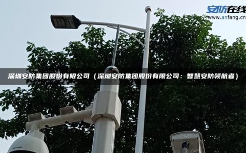 深圳安防集团股份有限公司（深圳安防集团股份有限公司：智慧安防领航者）