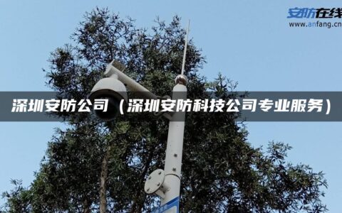 深圳安防公司（深圳安防科技公司专业服务）