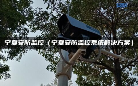 宁夏安防监控（宁夏安防监控系统解决方案）