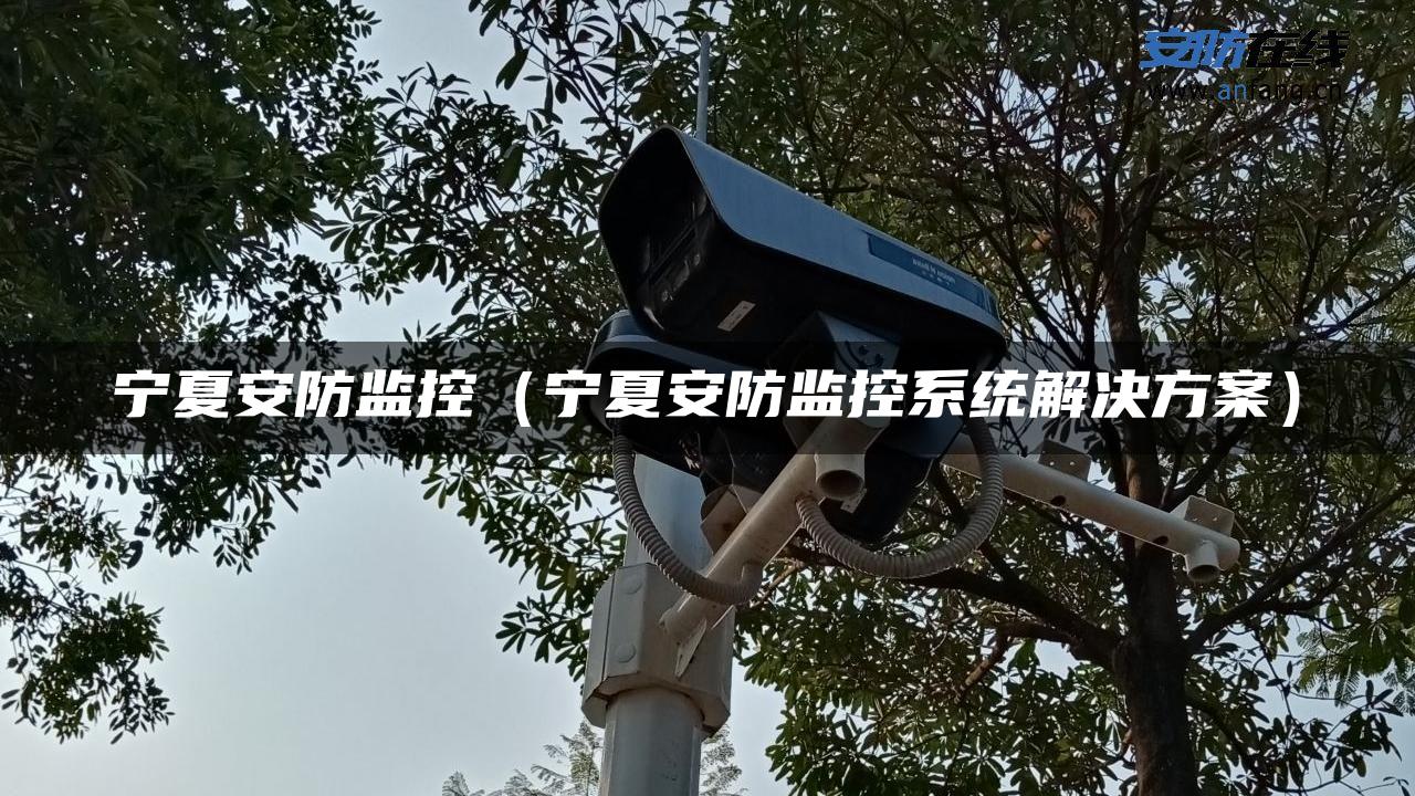 宁夏安防监控（宁夏安防监控系统解决方案）
